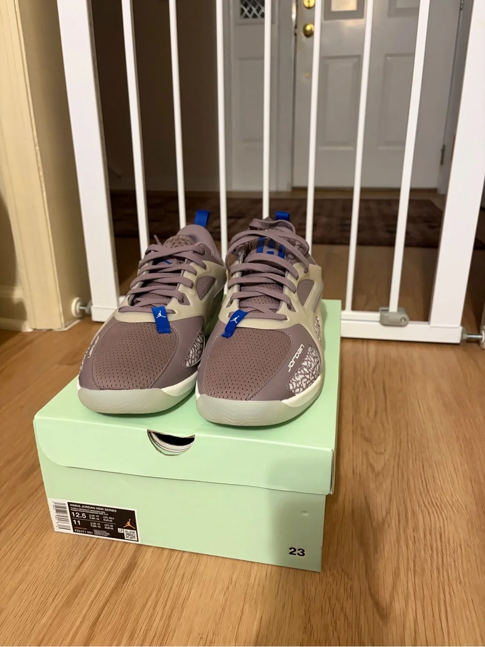 Jordan Sneakers in Mauve with Blue Accents - mens 11/womens 12.5